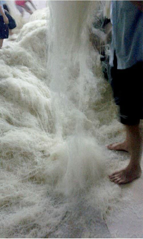 Dünya'nın garip gerçekleri