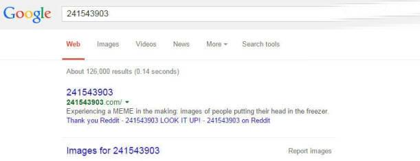 Google'ın "241543903" nolu sırrını biliyor musunuz?