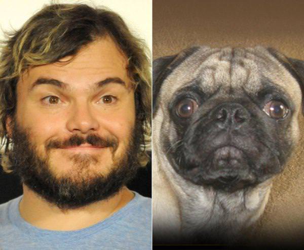 Ünlüler ve benzedikleri hayvanlar