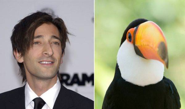 Ünlüler ve benzedikleri hayvanlar