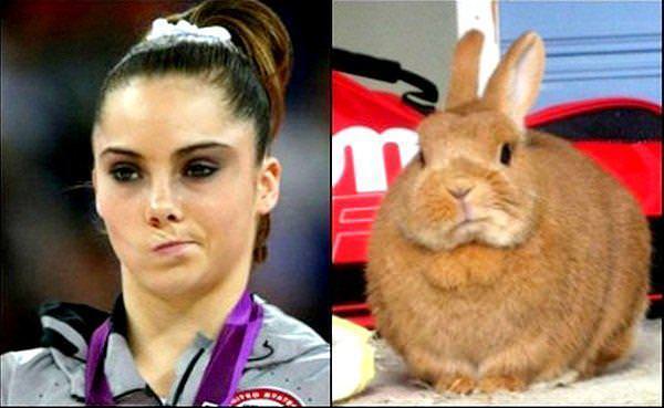 Ünlüler ve benzedikleri hayvanlar