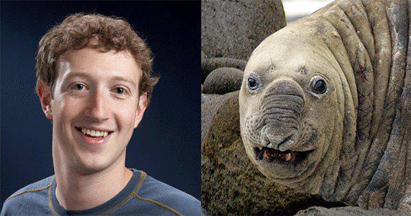 Ünlüler ve benzedikleri hayvanlar