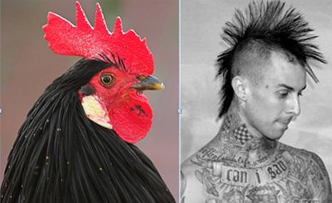 Ünlüler ve benzedikleri hayvanlar