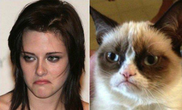 Ünlüler ve benzedikleri hayvanlar