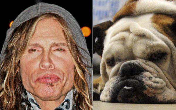 Ünlüler ve benzedikleri hayvanlar