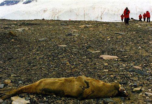 Dünya hakkında 50 ilginç gerçek