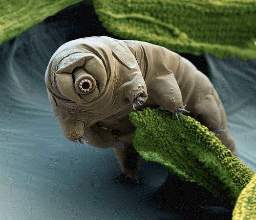 Dünya hakkında 50 ilginç gerçek