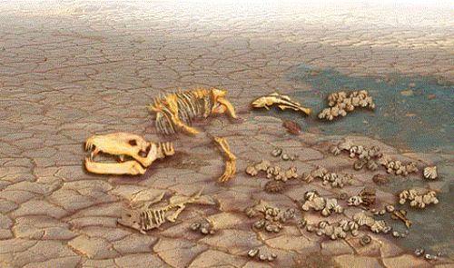 Dünya hakkında 50 ilginç gerçek