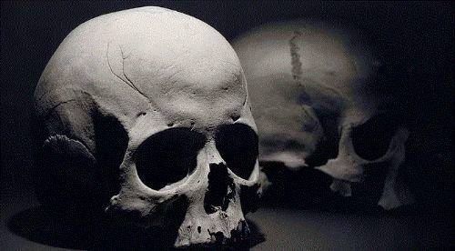 Dünya hakkında 50 ilginç gerçek