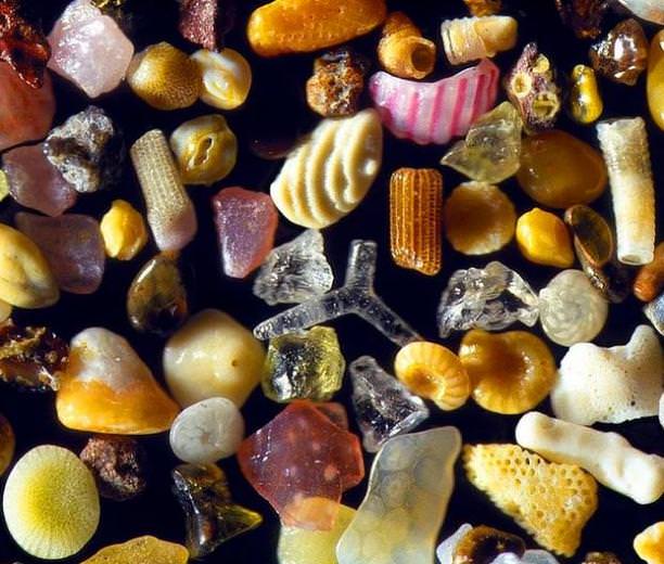 Dünya hakkında 50 ilginç gerçek