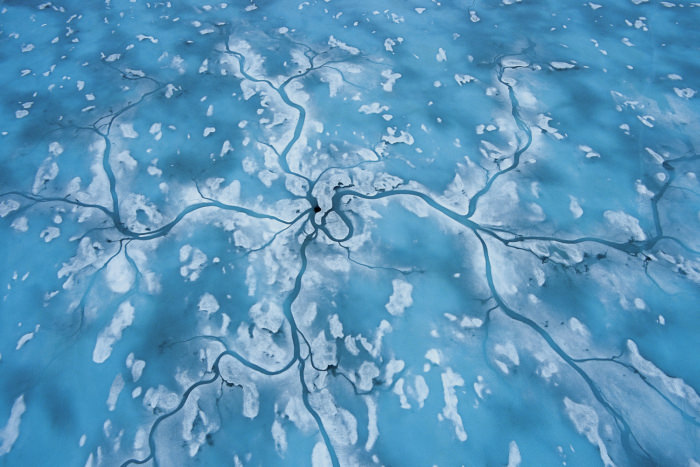 Paul Nicklen'ın gözünden vahşi doğa