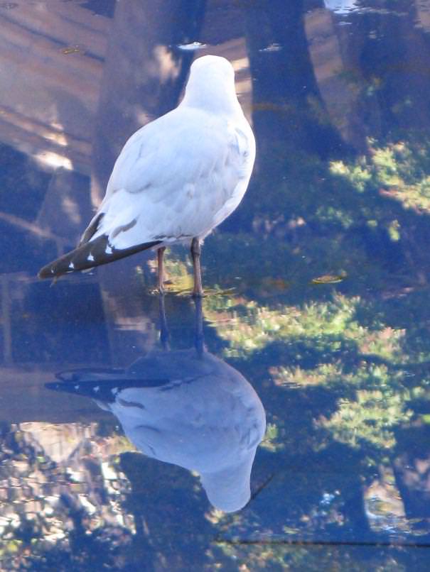 En mükemmelci fotoğraflar