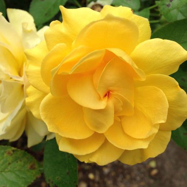 En mükemmelci fotoğraflar