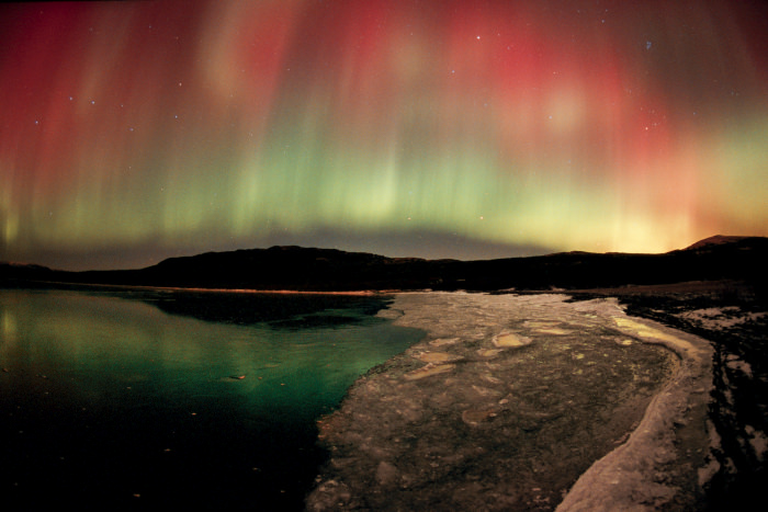 Paul Nicklen'ın gözünden vahşi doğa