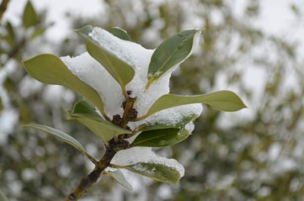 Beyaz İstanbul havadan böyle görüntülendi