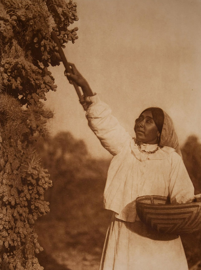 Kızılderililer'in peşinde bir ömür