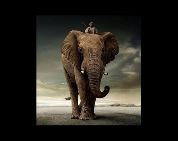 Tarihte öyle ilginç deneyler var ki!