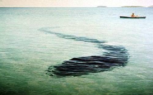 Hala açıklaması yapılamamış 22 fotoğraf