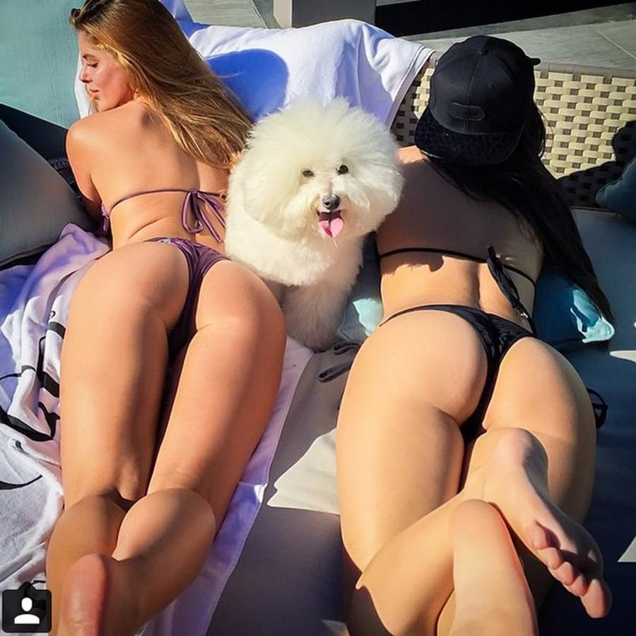 Instagram'ın zengin köpekleri