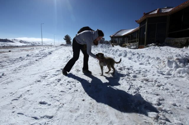 Photoshop değil hepsi gerçek!