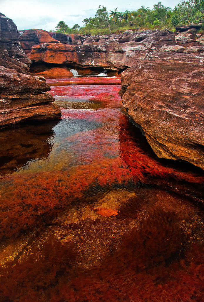 İşte dünyanın en güzel nehri