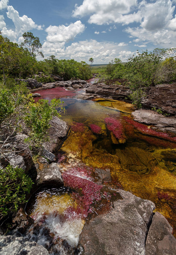 İşte dünyanın en güzel nehri
