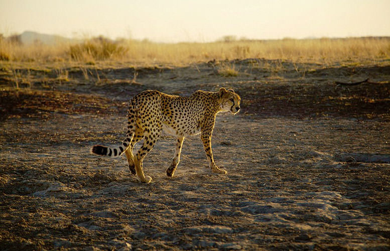 İlk kez böyle görüntülendiler