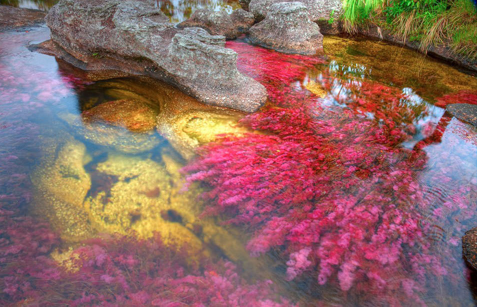 İşte dünyanın en güzel nehri