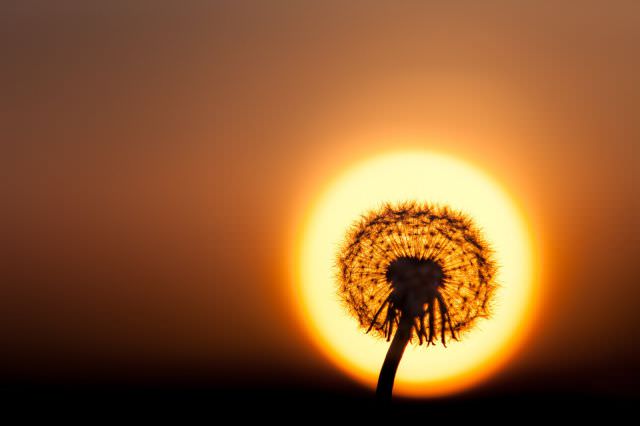 Photoshop değil hepsi gerçek!