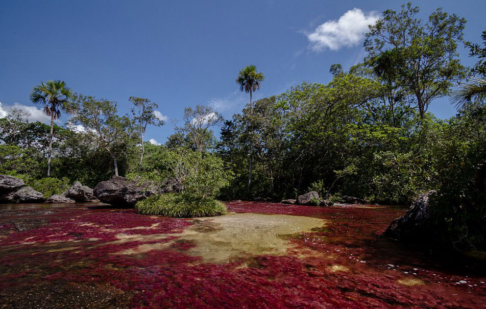 İşte dünyanın en güzel nehri