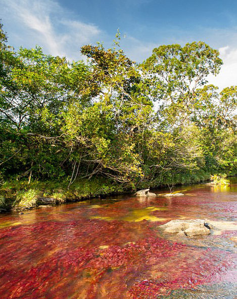 İşte dünyanın en güzel nehri