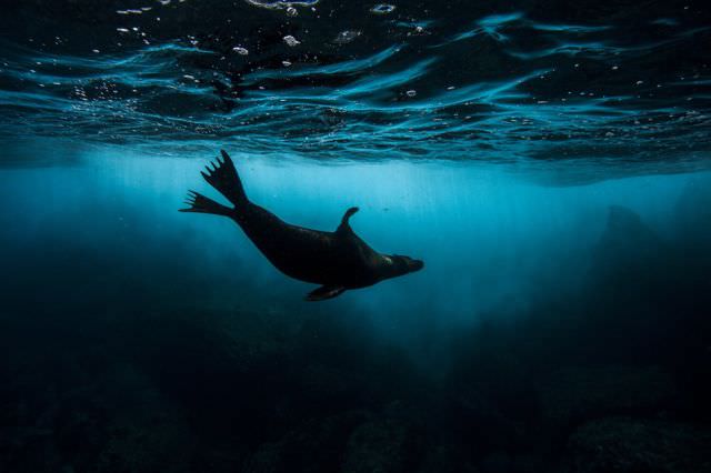 Photoshop değil hepsi gerçek!