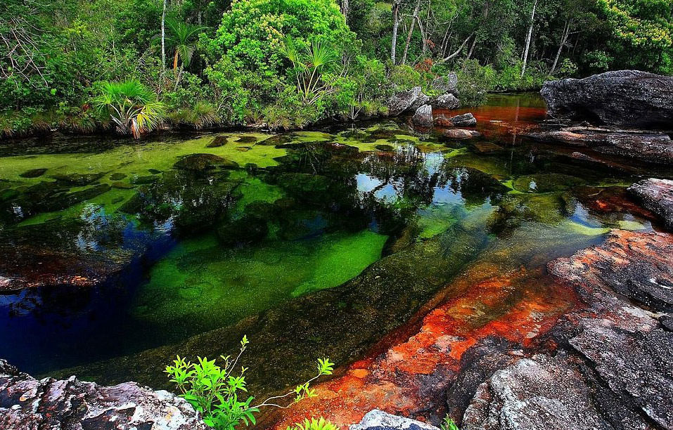 İşte dünyanın en güzel nehri