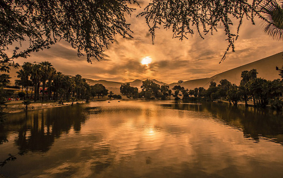 Çölün ortasında şaşırtan hayat