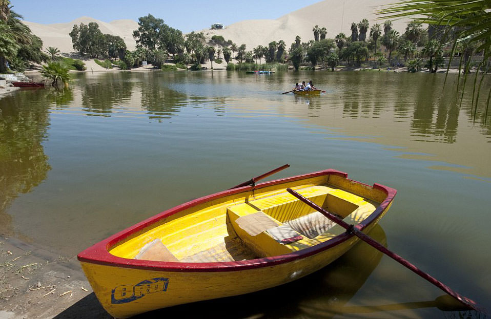 Çölün ortasında şaşırtan hayat