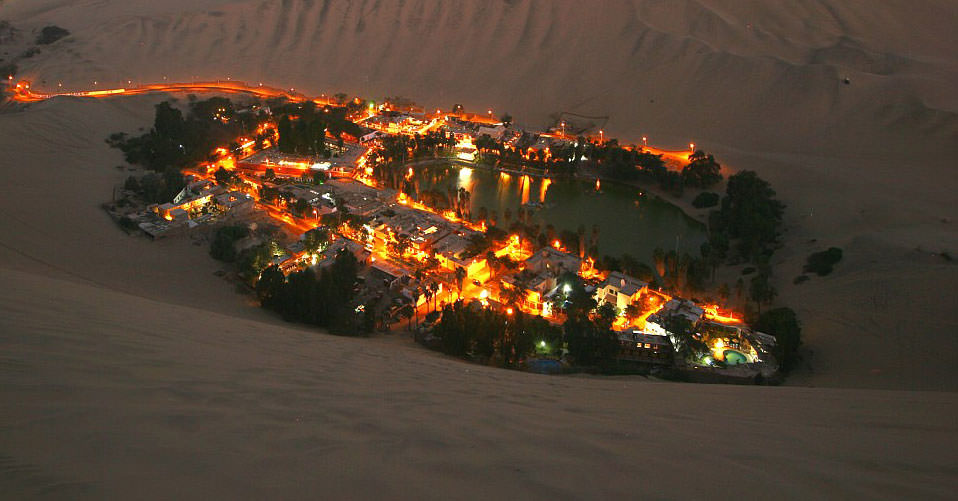 Çölün ortasında şaşırtan hayat