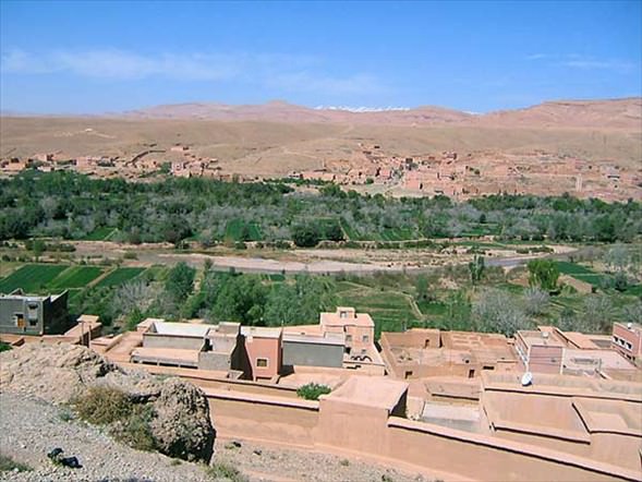 Çölün ortasında şaşırtan hayat