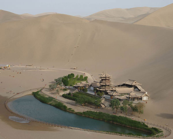 Çölün ortasında şaşırtan hayat