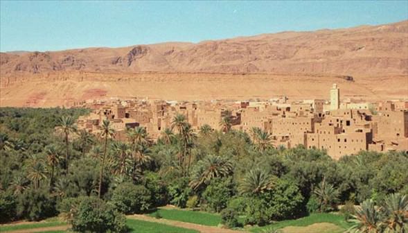 Çölün ortasında şaşırtan hayat