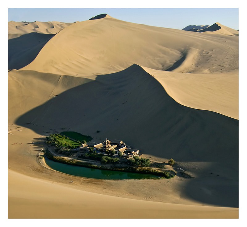 Çölün ortasında şaşırtan hayat