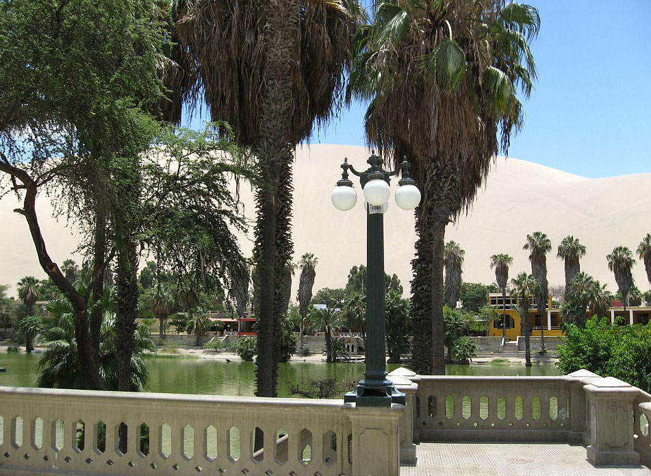 Çölün ortasında şaşırtan hayat