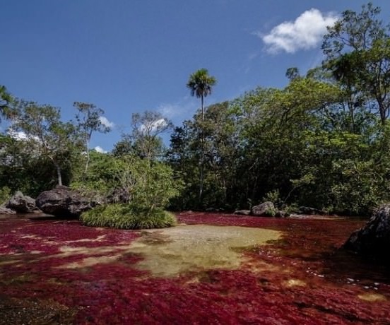 5 renk akan nehir görenleri şaşırttı