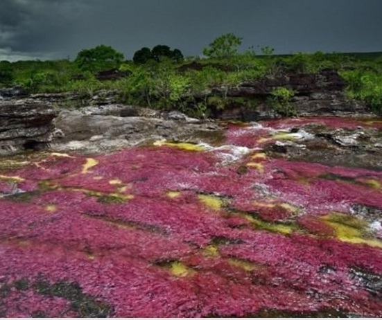 5 renk akan nehir görenleri şaşırttı