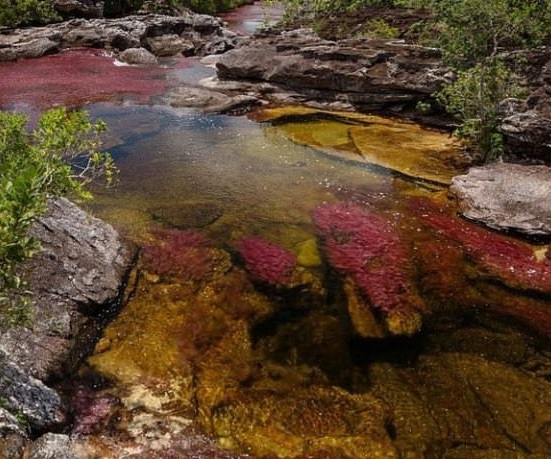 5 renk akan nehir görenleri şaşırttı
