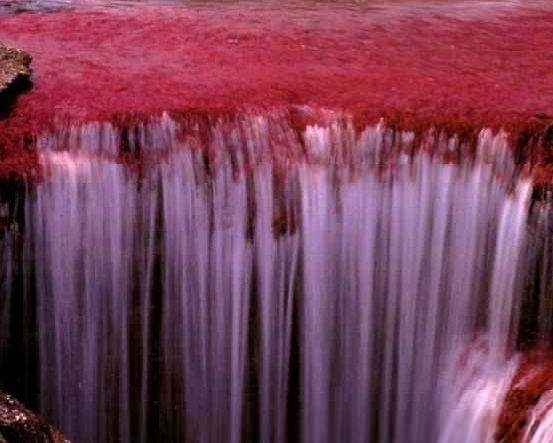 5 renk akan nehir görenleri şaşırttı