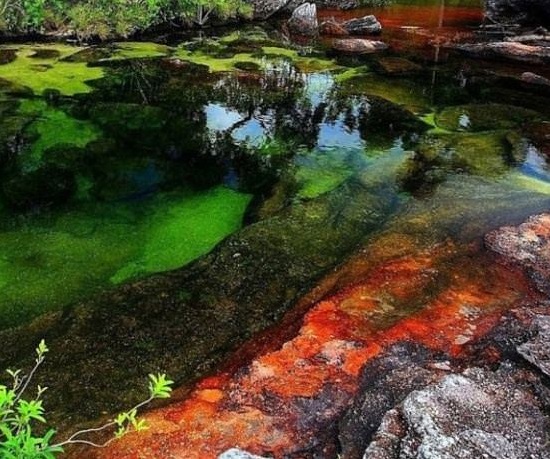 5 renk akan nehir görenleri şaşırttı