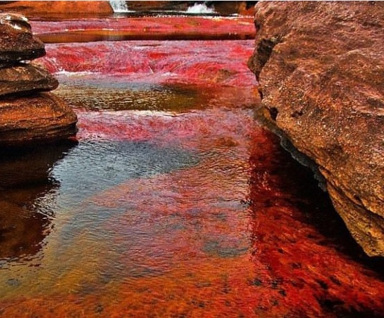 5 renk akan nehir görenleri şaşırttı
