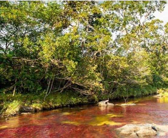 5 renk akan nehir görenleri şaşırttı