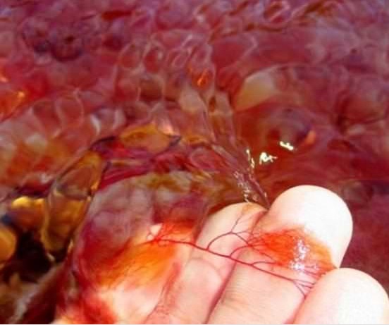 5 renk akan nehir görenleri şaşırttı