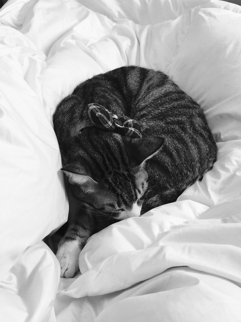 iPhone 6 ile çekilmiş en etkileyici fotoğraflar